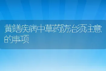 黄鳝疾病中草药防治须注意的事项