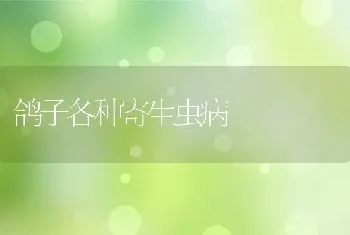 鸽子各种寄生虫病