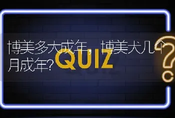 博美多大成年，博美犬几个月成年？