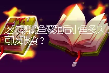 迷你鹦鹉鱼繁殖后小鱼多久可以喂食？