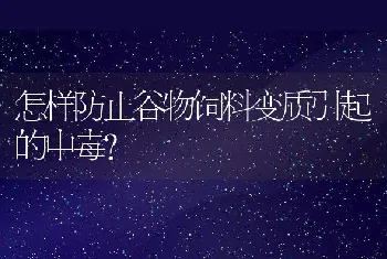 怎样防止谷物饲料变质引起的中毒？