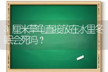 3厘米草龟直接放在水里冬眠会死吗？