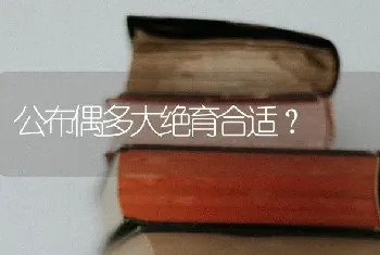 公布偶多大绝育合适？