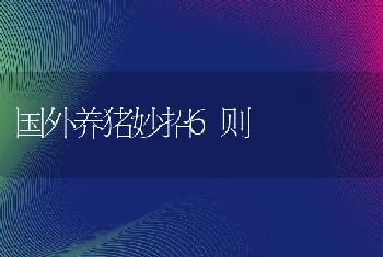 突发兔瘟传染病的预防与治疗