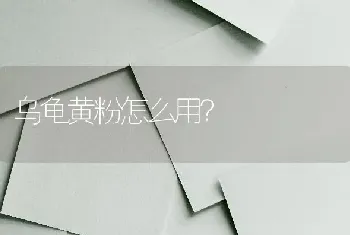 地图龟和麝香龟可以混养吗？