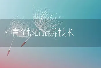 种青鱼搭配混养技术