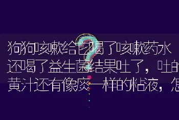 狗狗咳嗽给它喝了咳嗽药水还喝了益生菌结果吐了，吐的黄汁还有像痰一样的粘液，怎么回事啊？