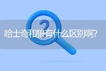 哈士奇和狼有什么区别啊？