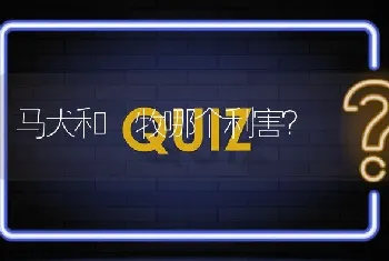 马犬和徳牧哪个利害？