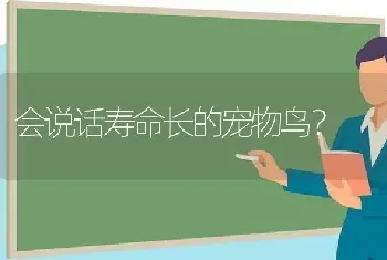 会说话寿命长的宠物鸟？