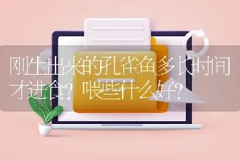 刚生出来的孔雀鱼多长时间才进食？喂些什么好？