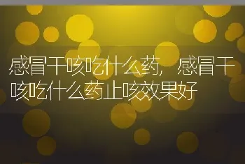 感冒干咳吃什么药，感冒干咳吃什么药止咳效果好