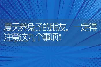 夏天养兔子的朋友，一定得注意这九个事项！