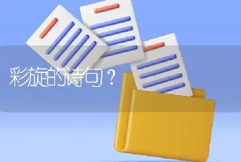 彩旋的诗句？