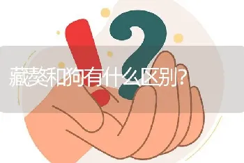 藏獒和狗有什么区别？