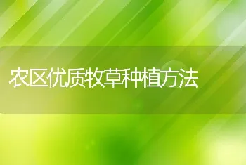 农区优质牧草种植方法