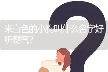 米白色的小狗叫什么名字好听霸气？