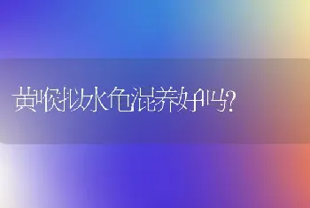 黄喉拟水龟混养好吗？