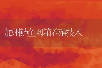 加州鲈鱼网箱养殖技术