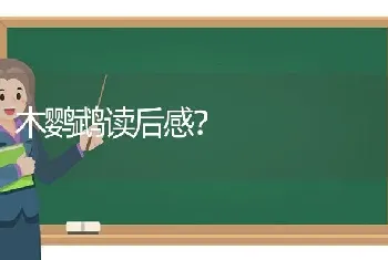 木鹦鹉读后感？