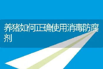 养猪如何正确使用消毒防腐剂