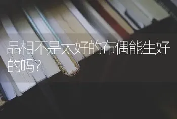 品相不是太好的布偶能生好的吗？