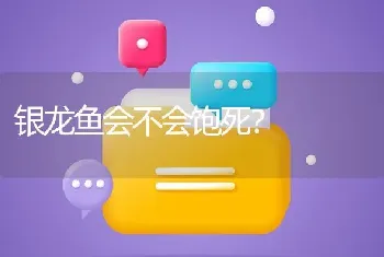 银龙鱼会不会饱死？