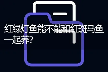 红绿灯鱼能不能和红斑马鱼一起养？