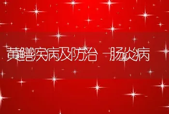 黄鳝疾病及防治―肠炎病