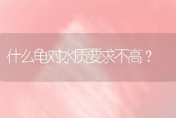 陆龟分布哪里？