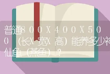 普通800X400X500（长X宽X高）能养多少神仙鱼（燕鱼）？