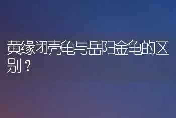 公狗的身高一般和什么一样？