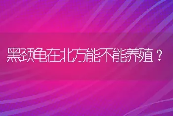 黑颈龟在北方能不能养殖？