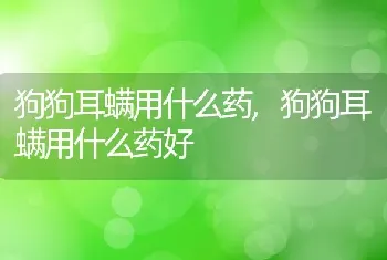 狗狗耳螨用什么药，狗狗耳螨用什么药好