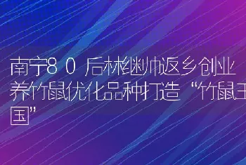 南宁80后林继帅返乡创业养竹鼠优化品种打造“竹鼠王国”