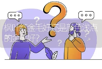 枫叶红金毛好还是颜色浅点的金毛好？