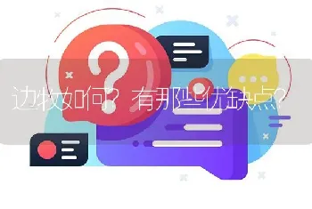 边牧如何？有那些优缺点？