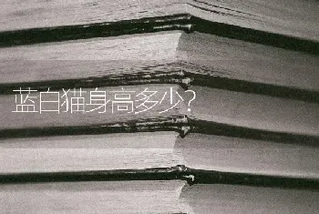 我家金吉拉还没有爆毛，为什么看起来不必别人的毛多，金吉拉猫吃蛋黄爆毛吗，金吉拉喂鸡蛋爆毛，有用吗？