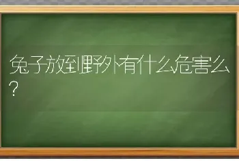 为什么狸花猫能长得跟小狗一样大？