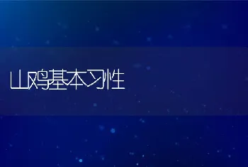 山鸡基本习性