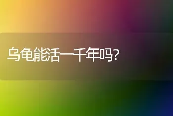 乌龟能活一千年吗？