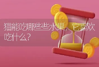 猫能吃哪些些水果，它喜欢吃什么？