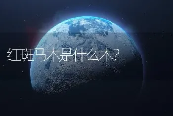 红斑马木是什么木？