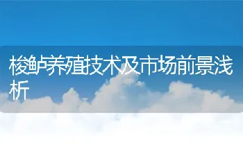 梭鲈养殖技术及市场前景浅析