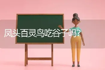 凤头百灵鸟吃谷子吗？