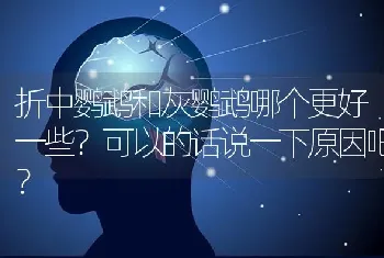 折中鹦鹉和灰鹦鹉哪个更好一些？可以的话说一下原因吧？