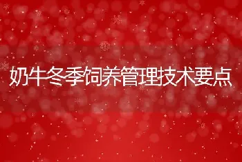 奶牛冬季饲养管理技术要点