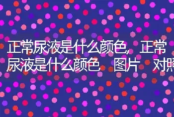 正常尿液是什么颜色，正常尿液是什么颜色 图片 对照