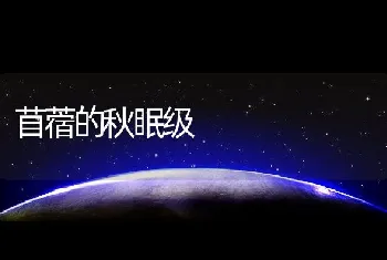 苜蓿的秋眠级