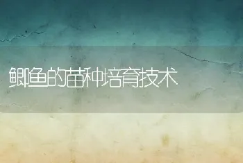 鲫鱼的苗种培育技术